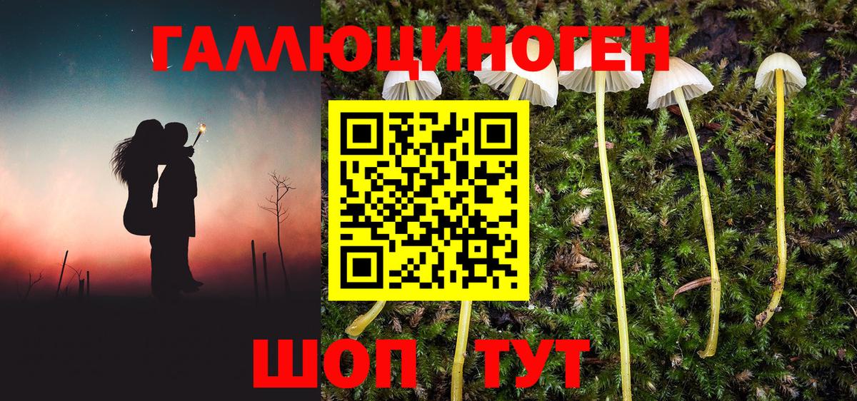 Хасавюрт  Галлюциногенные грибы Psilocybine cubensis  Вход с VPN  Галлюциногенные грибы мицелий 