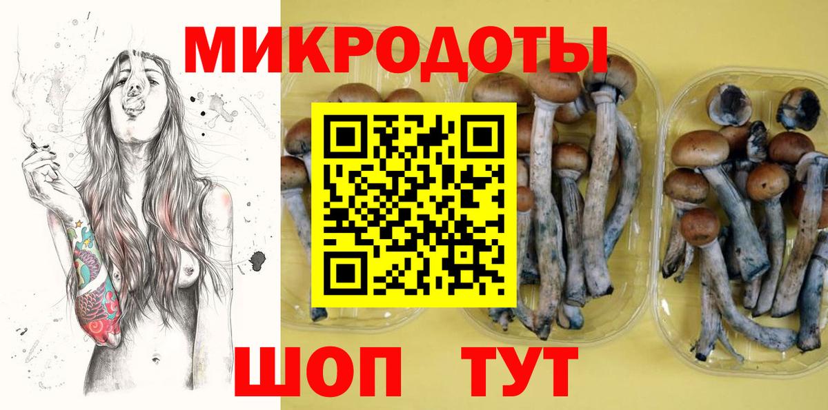 Галлюциногенные грибы GOLDEN TEACHER Хасавюрт